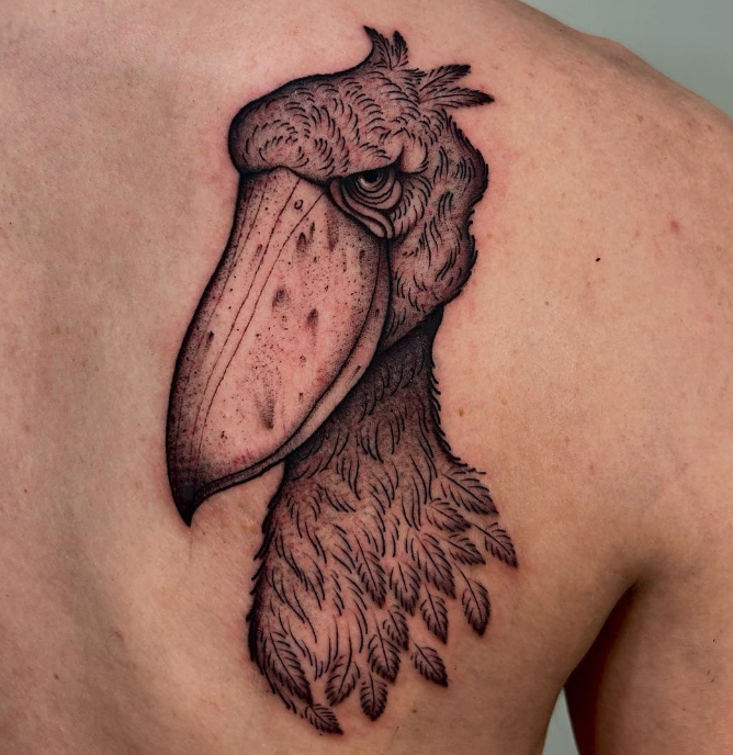 man having the back of his head shaved